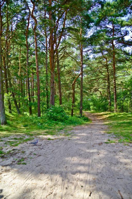 Apartamenty Lux Pogorzelica, Dwupoziomowy Z Dwiema Lazienkami I Dwoma Tarasami Pogorzelica  Buitenkant foto